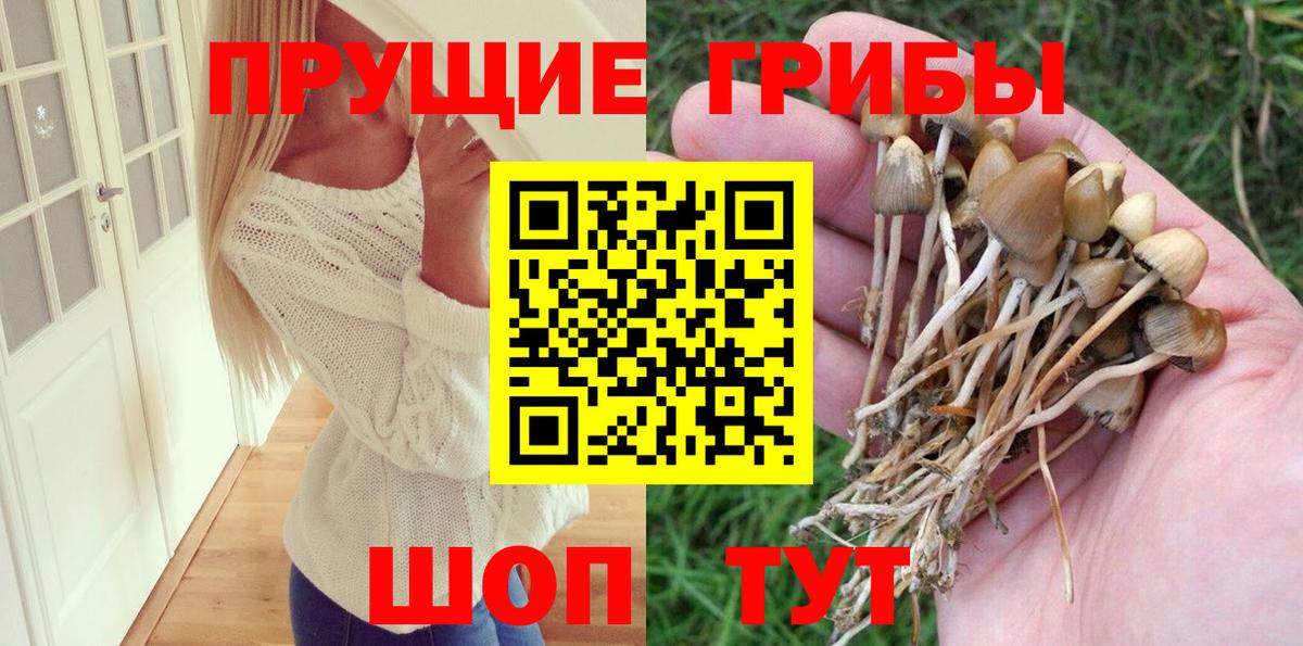 Пыть-Ях  Псилоцибиновые грибы Magic Shrooms  Псилоцибиновые грибы Psilocybine cubensis  Вход с VPN 