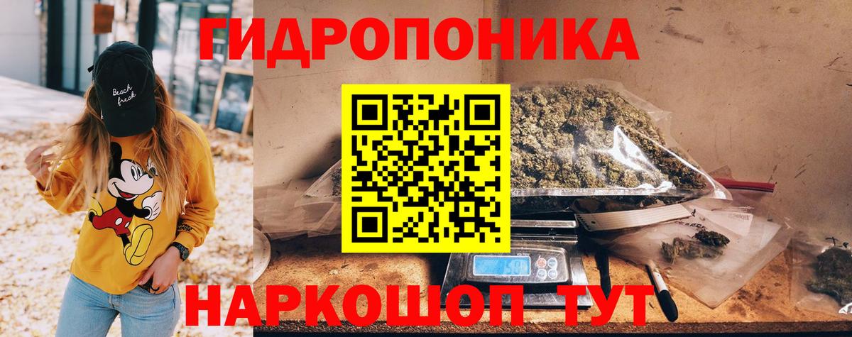 Пыть-Ях  Марихуана семена  Вход с VPN  Каннабис индика 